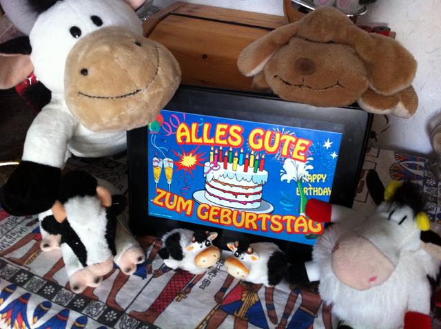 Bild