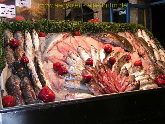 Fischimbiss in Kairo