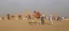 Foto mit Kamel vor den Pyramiden gefällig?