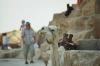 Kaugummikauendes Kamel an der Cheopspyramide