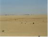 Fata Morgana in der Wüste auf dem Weg nach AbuSimbel
