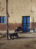 Blaue Tür im Nubischen Dorf