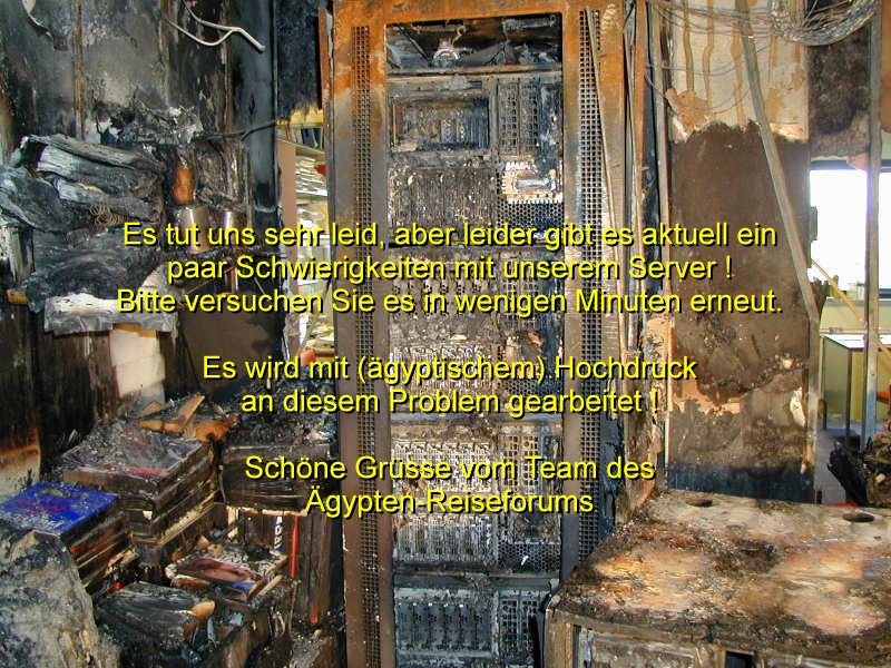 Der elektrische Reiter? Der elektrische Reiter?