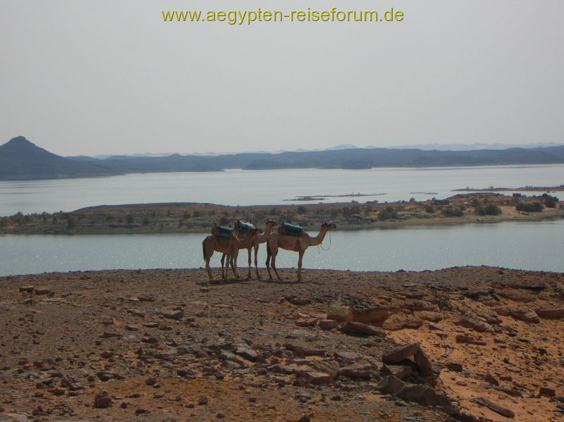 Nasssersee unendliche Landschaft