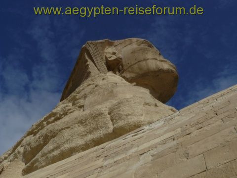 Sphinx von unten fotografiert