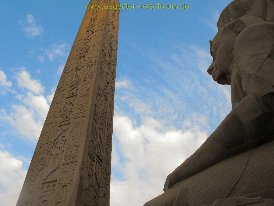 Ramses Blick in die Wolken