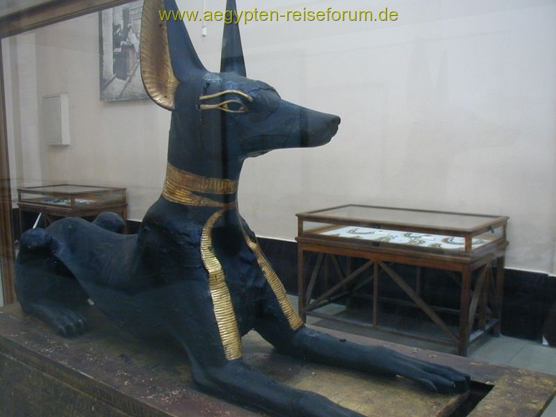 Anubis