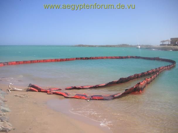 Öl am Strand von El Gouna