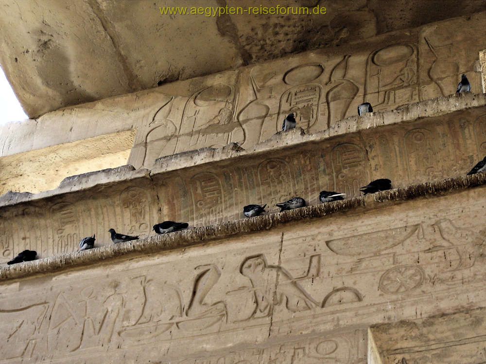 Tierische Hieroglyphen im Ramesseum