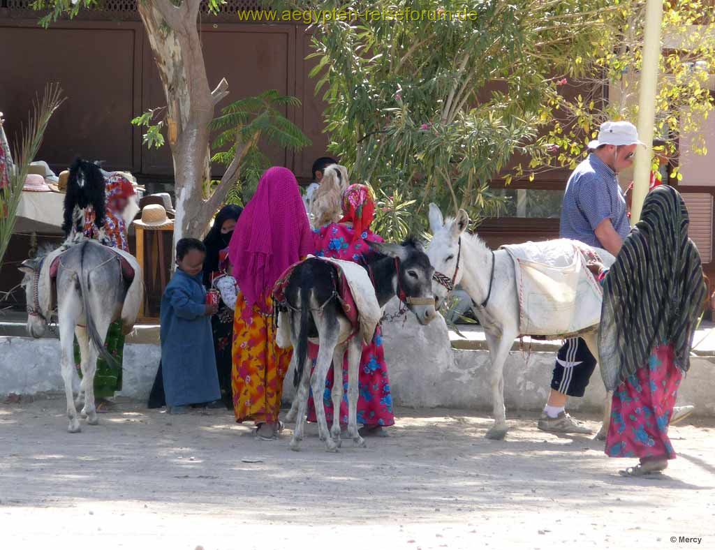 Am Haltepunkt auf der Straße zwischen Safaga und Luxor