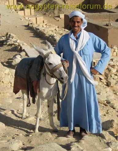 Stufenpyramide Sakkara 2007