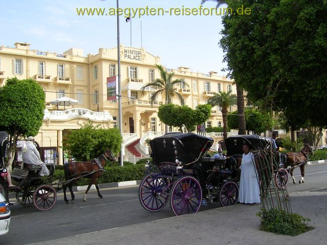 Old Winter Palace