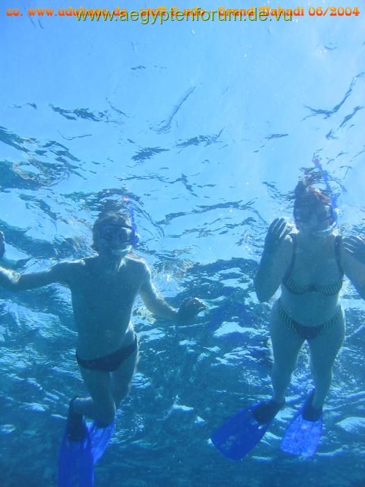 Zwei "Wasserratten" im Roten Meer