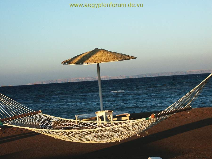 shedwan golden beach: relaxmöglichkeit