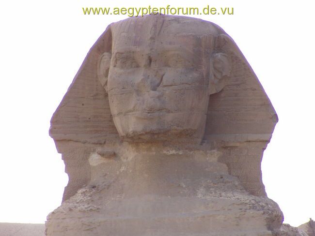 Sphinx