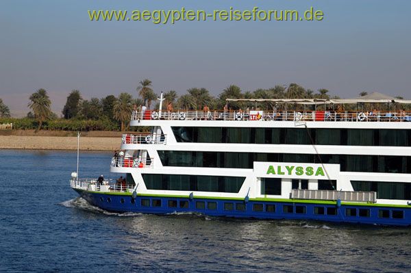 MS Alyssa