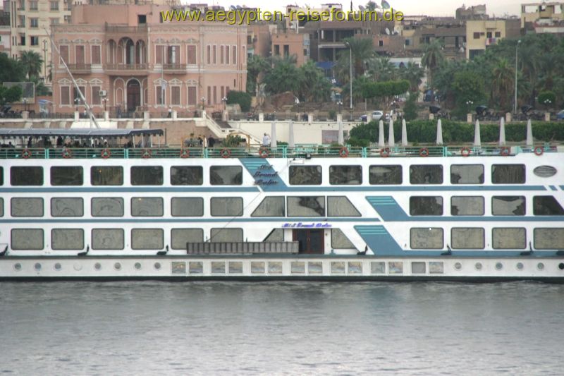 Grand Palm