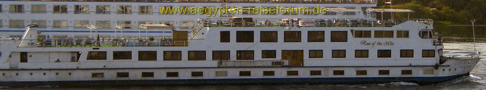 Rose of the Nile