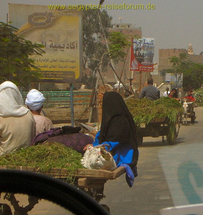 Auf dem Weg nach Sakkara