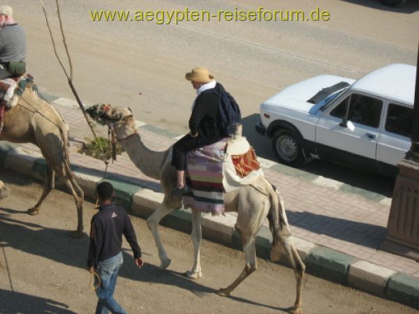 Auch eine Art Sitzplatz