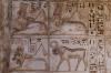 Tierisches Medinet Habu