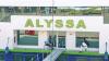 M/S Alyssa M/S Alyssa